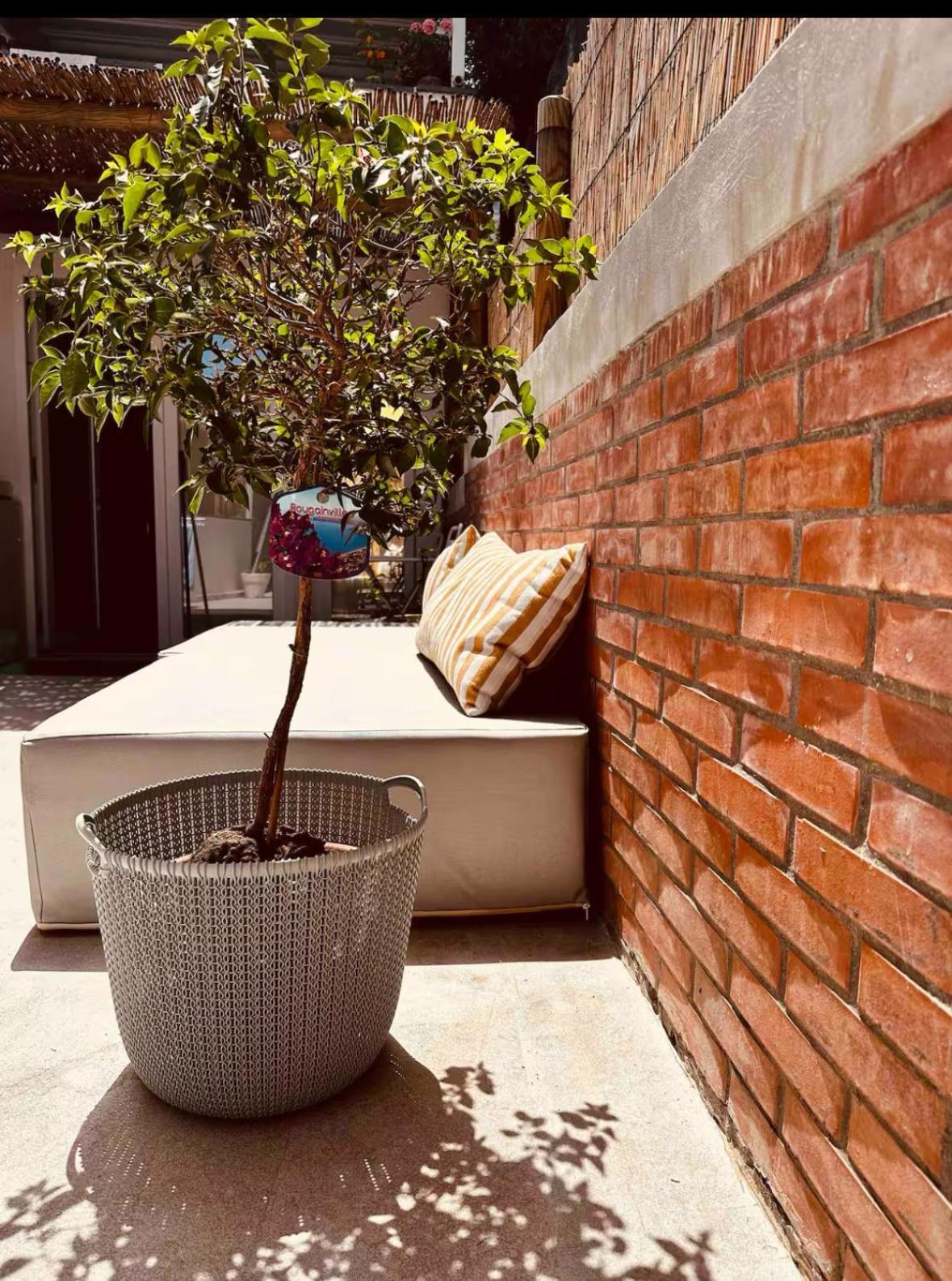 Casa Capri Mores Bagian luar foto